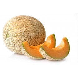 Melone Cantalupo 1 pezzo