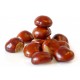 Castagne Cuneo Grandi 500 gr