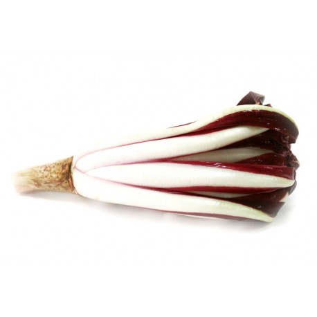 Radicchio Tardivo 500 gr